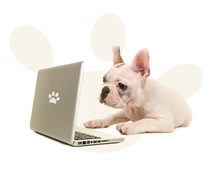 https://thinkpawsitivedog.com/wp-content/uploads/2022/07/Email-image.png