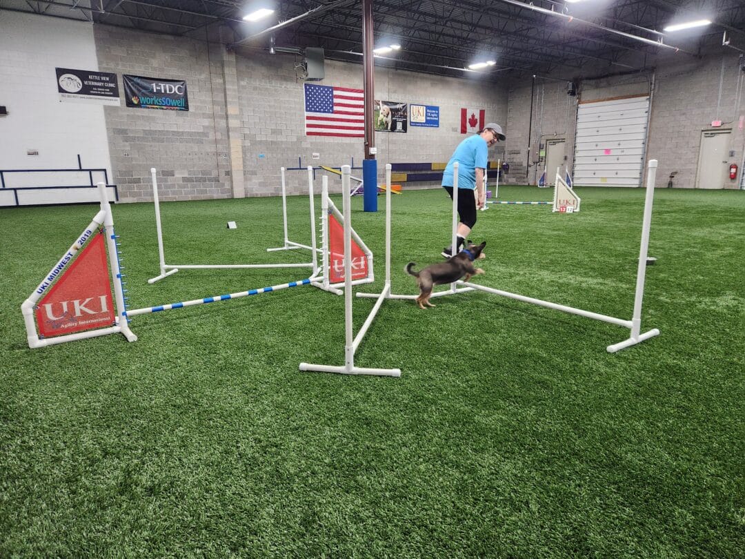 Advanced Jump Grids Class