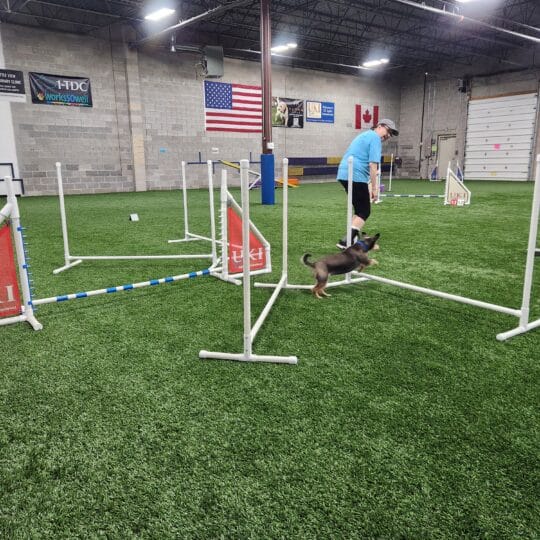 Jump Grids II