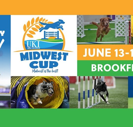 UKI Midwest Cup T-Shirt