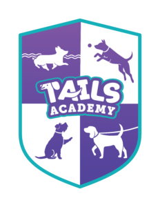 Featured image: TAILS Academy