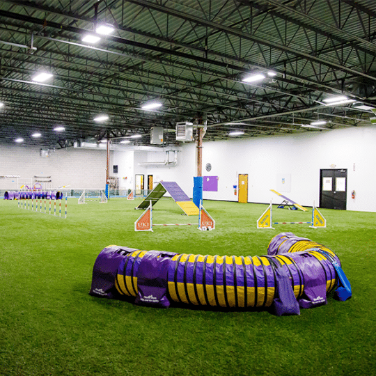 Think Pawsitive Facility Vendor