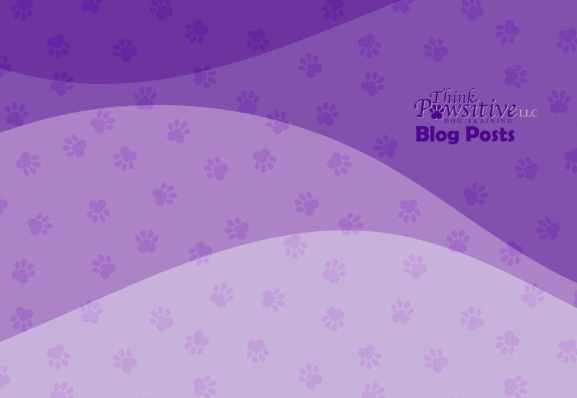 blogbanner_purple-01