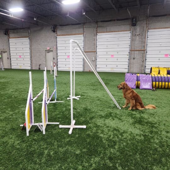 Introduction to Jump Grids