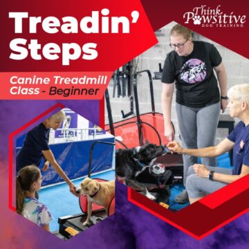 treadin steps-01 treadin steps-01