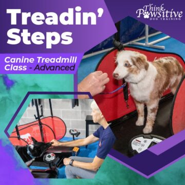 treadin steps-02 treadin steps-02