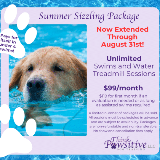 Summer Sizzling Package - May to August 2025 Unlimited Swims and Water Treadmill Special