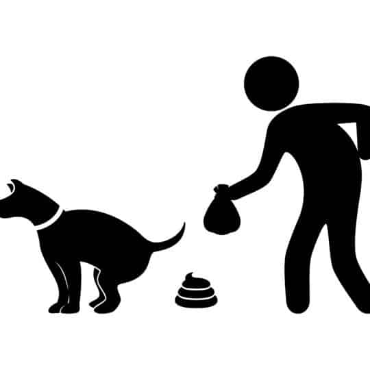 Turf Potty Accident Fee