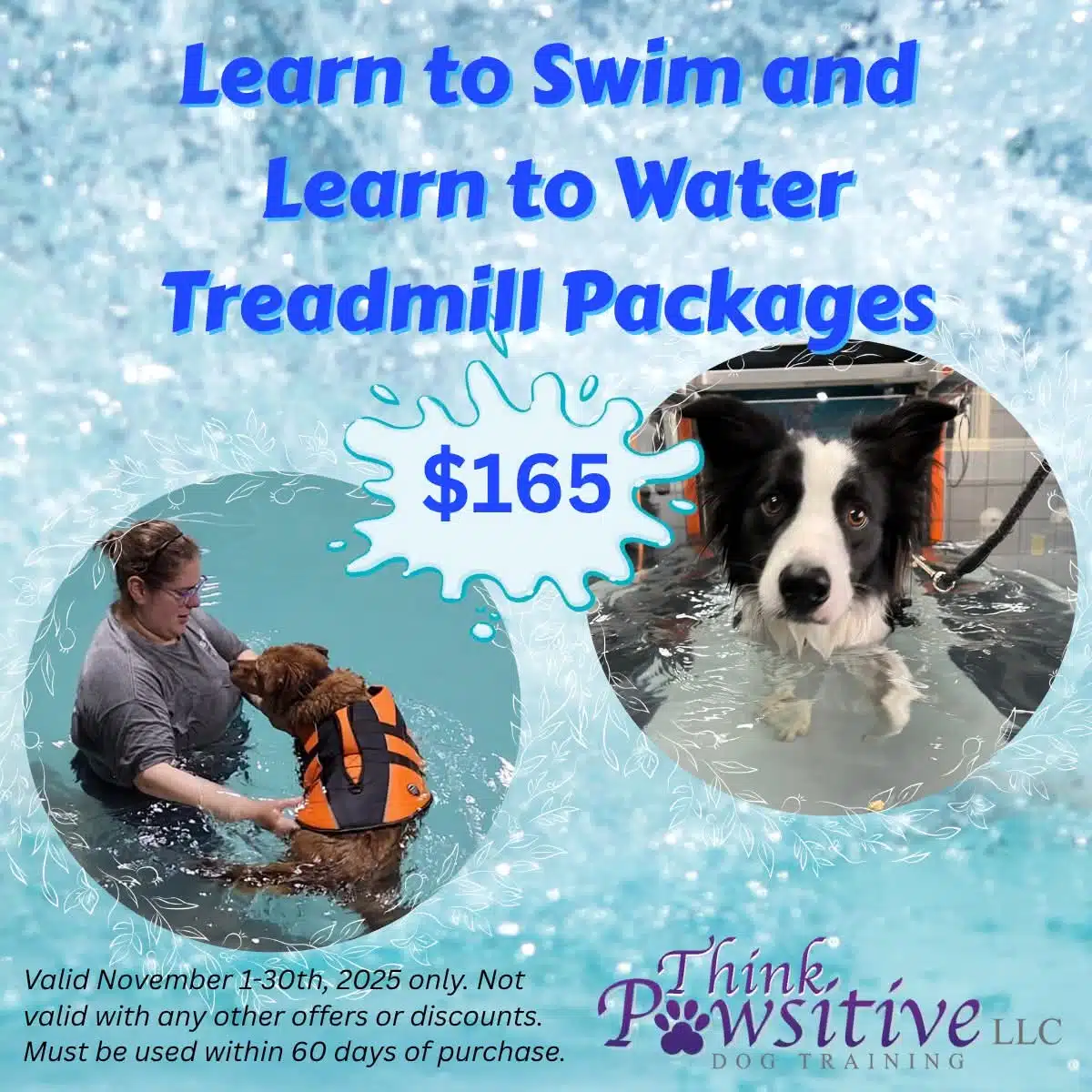 November Special! Learn To Swim and Learn to Water Treadmill Packages