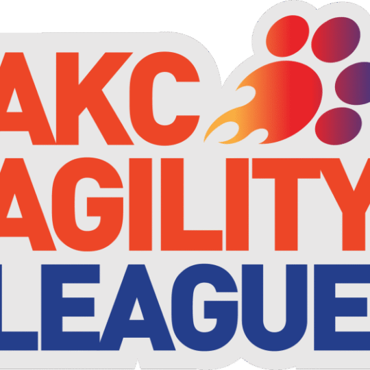 Think Pawsitive's AKC Agility League